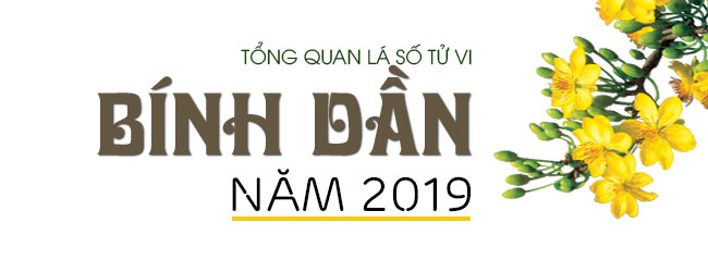 Tử vi tuổi Bính Dần năm 2019