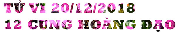 Tử vi ngày 20/12/2018 của 12 cung hoàng đạo