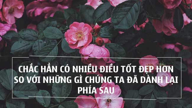 nhung cau noi hay vao buoi sang 1