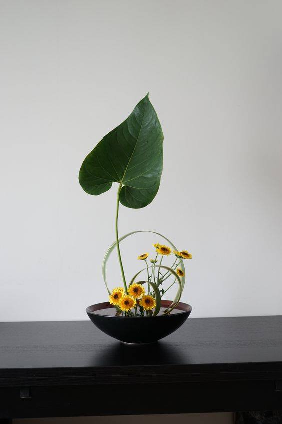 Học cắm hoa Ikebana nghệ thuật bày Tết Nguyên đán