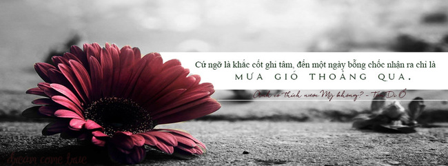 Trích dẫn những câu nói hay trong Anh có thích nước Mĩ không