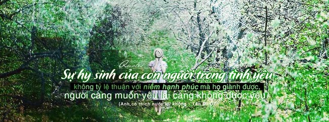 Trích dẫn những câu nói hay trong Anh có thích nước Mĩ không