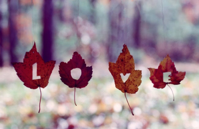 câu nói truyền cảm hứng trong tình yêu hay 2