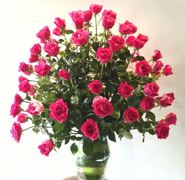 Cắm bình hoa hồng đẹp hoành tráng chỉ với 4 bước cực dễ