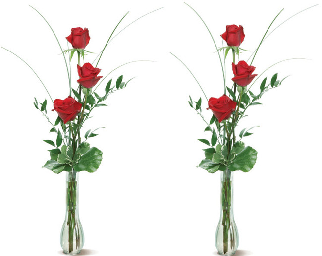10 mẫu cắm hoa hồng kiểu tối giản mà đẹp tinh tế ảnh 6