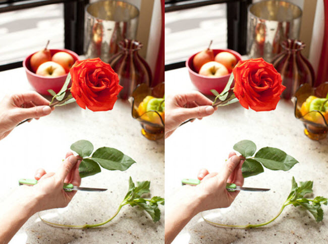 Học cách cắm hoa hồng ngày tết tông đỏ nâu ấm áp ảnh 1