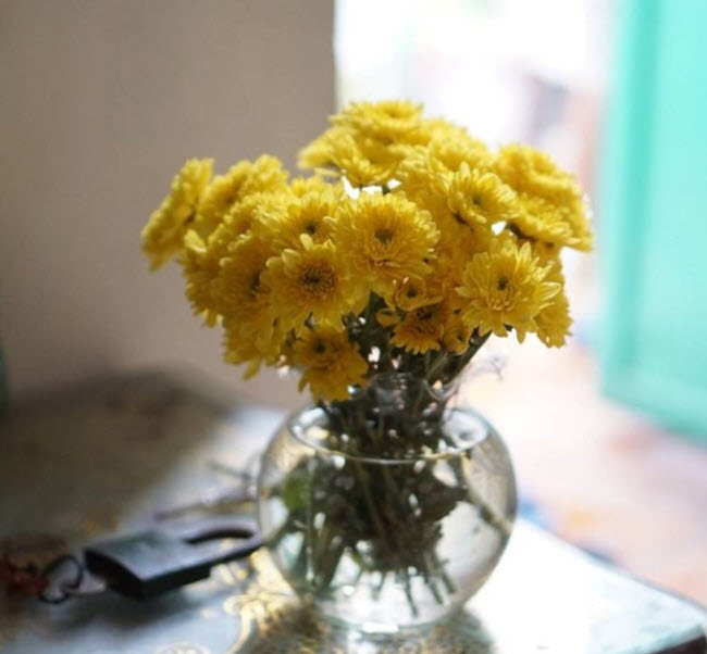 Dâu thảo học ngay cách cắm hoa cúc để bàn thờ đẹp mà không hề khó Dâu thảo học ngay cách cắm hoa cúc để bàn thờ đẹp mà không hề khó