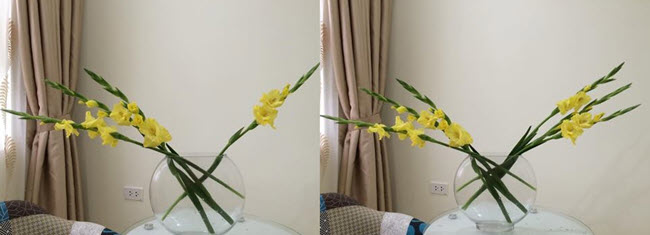 Gợi ý 2 cách cắm hoa lay ơn thược dược đẹp rực rỡ ngày Tết ảnh 2