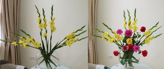 Gợi ý 2 cách cắm hoa lay ơn thược dược đẹp rực rỡ ngày Tết ảnh 1