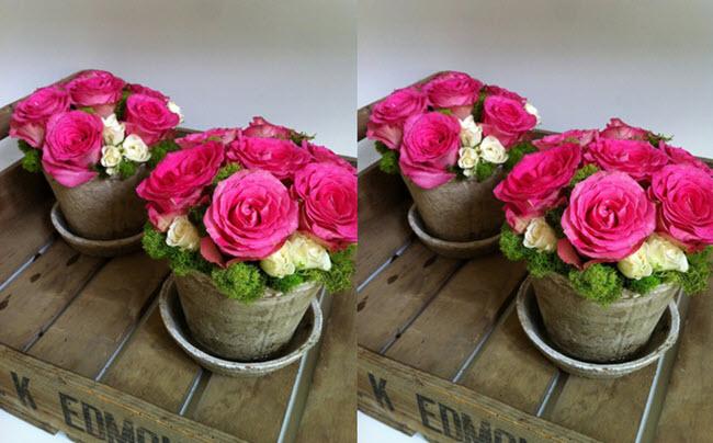 Thử ngay 3 cách cắm hoa hồng đẹp ngày tết dáng thấp siêu yêu ảnh 4